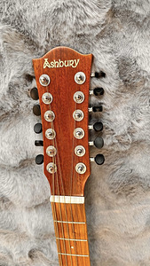 12-keelne akustiline kitarr Ashbury AG-48 (4 foto / 5)