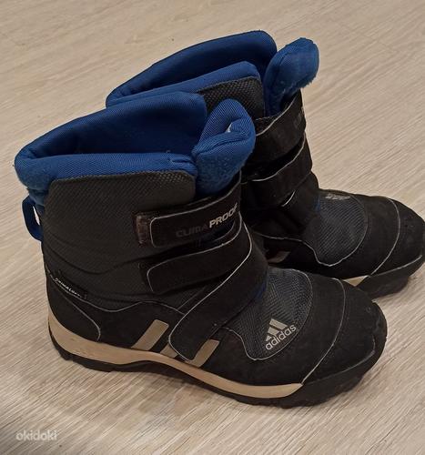 Adidas 36,5 (фото #1)