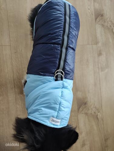 Куртка для собаки (фото #3)
