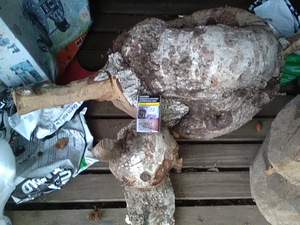 Kasesuven käsitööks (2 foto / 8)