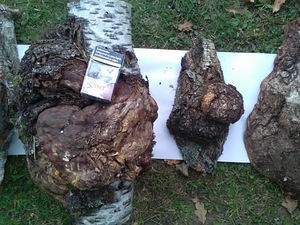 Kasesuven käsitööks (4 foto / 8)