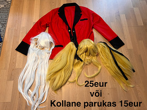 Anime Cosplay uued ja kantud kord (4 foto / 6)