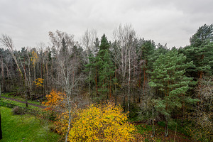 Helme tn 11b, Põhja-Tallinn, Tallinn, Harjumaa (6 foto / 39)
