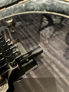 Müüa kitarri Esp Ltd EC-1000 Floyd Rose ja EVH Drop D (7 foto / 10)