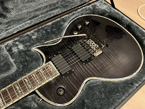 Müüa kitarri Esp Ltd EC-1000 Floyd Rose ja EVH Drop D (10 foto / 10)