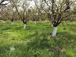 Հողատարածք (14 լուսանկար / 31)