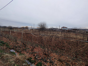 Հողատարածք (1 լուսանկար / 6)
