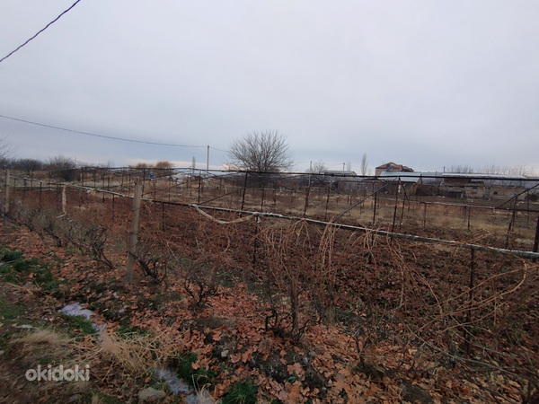 Земельный участок