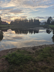 Ищу работу. Täis või osaline aeg. (1 фото из 1)