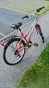 Детский велосипед Raleigh Everest 24" (4 фото из 4)