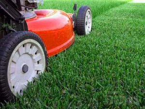 Aeraator muruõhutaja samblaeemaldaja RENT ja TEENUS Veerenni (4 foto / 5)