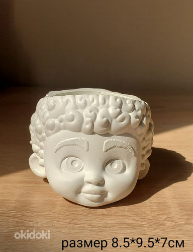 Ծաղկամաններ սուկուլենտների համար (3)