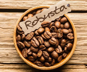 Արաբիկա սուրճ Coffee кофе robusta և ջազվե պատրաստում