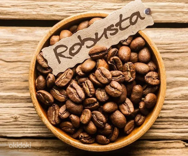Արաբիկա սուրճ Coffee кофе robusta և ջազվե պատրաստում