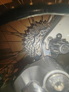 Merida Scultura Evo 909-e (3 foto / 7)