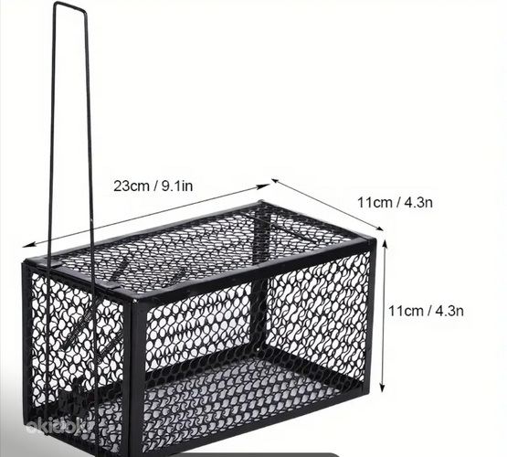 Առնետ և մուկ բռնող թալաք թակարդ (3)