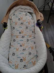Myy vaunumme 2 in 1 (10 valokuva sivusta 10)