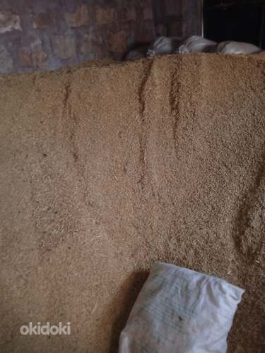 Ցորեն և գարի (4)