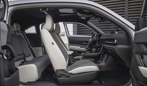 Elektriautod rendiks (5 foto / 7)