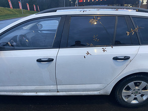 Skoda octavia (5 фото из 6)