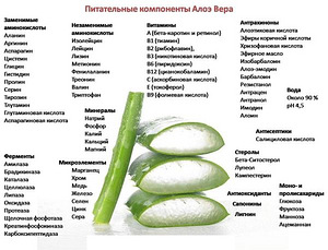 Aloe deodorant-stick - Forever (2 foto / 2)
