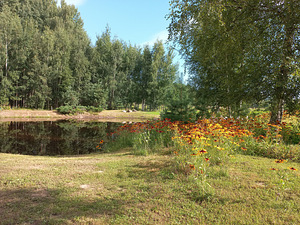 Võru tn 1, Vastseliina, Võru vald, Võrumaa (4 foto / 23)