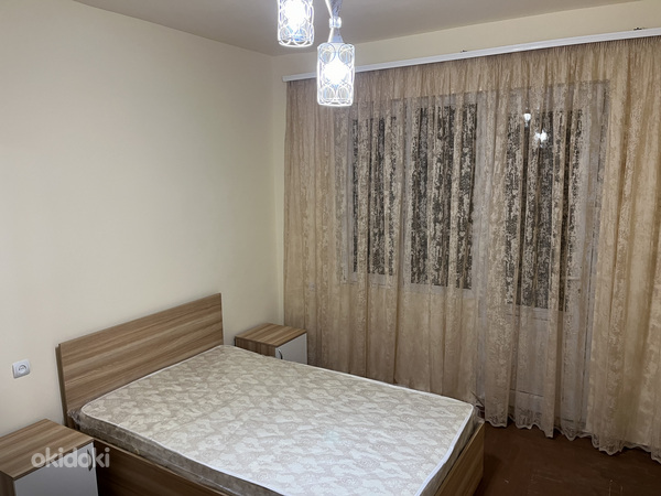 ԲՆԱԿԱՐԱՆ ՄԱՍԻՍ ՔԱՂԱՔՈՒՄ (13)