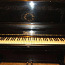 Черное пианино с розой Смоленск (фото #3)