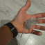 Мыши песчанки (фото #2)