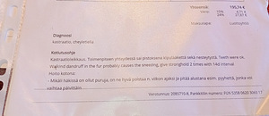 Kaks Leikattua uros kania (7 valokuva sivusta 9)