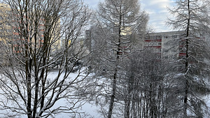 Raadiku tn 14, Lasnamäe, Tallinn, Harjumaa (1 фото из 15)
