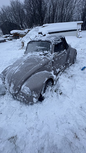 Volkswagen beetle (1 foto / 12)