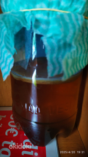 Kombucha
