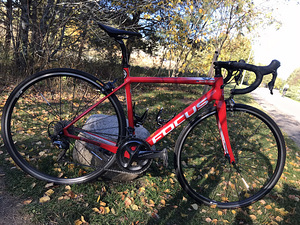 Продам шоссейный велосипед MNT Focus Izalco Race 9.8 S (1 фото из 10)