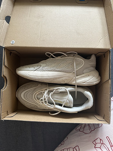 Кроссовки Adidas Ozelia (1 фото из 6)