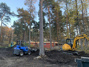 Haljastus- ja pinnasetööd (1 foto / 3)