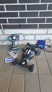 RC off-road puldiga auto (5 foto / 6)