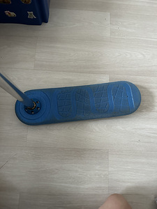 Sinine indo scoot! (4 foto / 4)