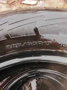 Ламельные шины R16/65/225 Goodyear (5 фото из 5)