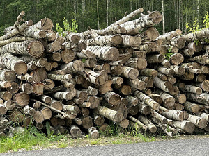 Müüa kasepuu küttepuid (1 foto / 3)