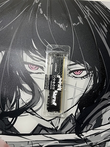 KingSton Fury Beast 16 gb ram (2 foto / 2)