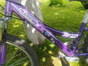 Велосипед Trek MT 220, 24" (9 фото из 10)