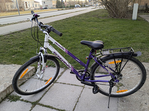 Велосипед Schwinn Frontier FS Lady (2 фото из 4)