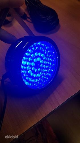 LED purskkaevu valgusti (sinine) (foto #3)