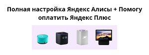 Täielik Yandex Alice seadistamine + Abi tellimuse maksmisel (1 foto / 1)