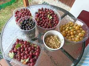 Maardu tee, Maardu, Harjumaa (11 foto / 12)