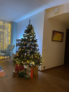 Kunstkuusk koos tuledega (1 foto / 2)