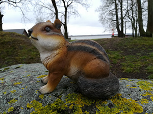 Koopaorav dekarativne, uus (2 foto / 2)