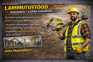 Lammutustööd Lääne-Virumaal ja Rakveres (1 foto / 1)