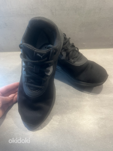 Puma 44